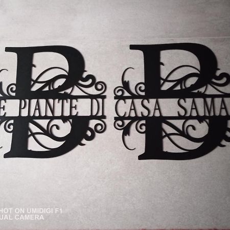Le Piante Di Casa Samar Bed & Breakfast Castelguelfo Ngoại thất bức ảnh